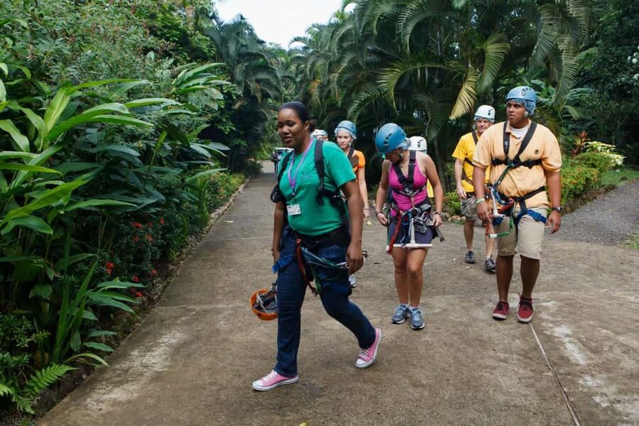St Lucia Ultimate 3 Package: Aerial Tram Zip Line & Hiking - Key Highlights at a Glance