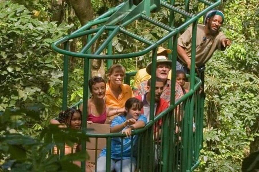 St. Lucia: Zip Line, Aerial Tram, and Hiking Tour - Key highlights at a glance