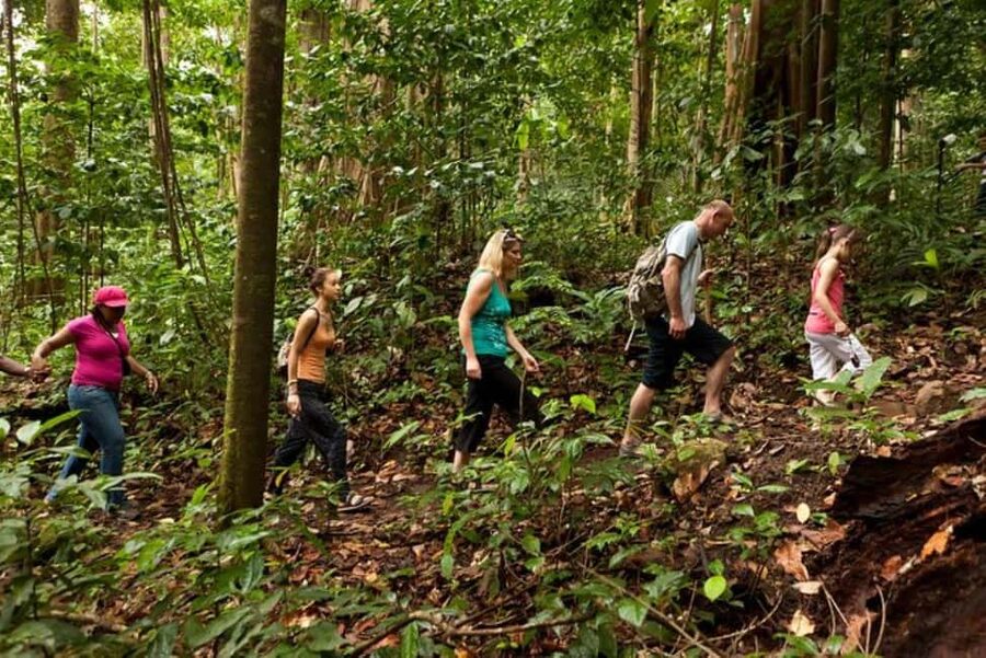 St. Lucia: Zip Line, Aerial Tram, and Hiking Tour - Three ways into the St. Lucia rainforest