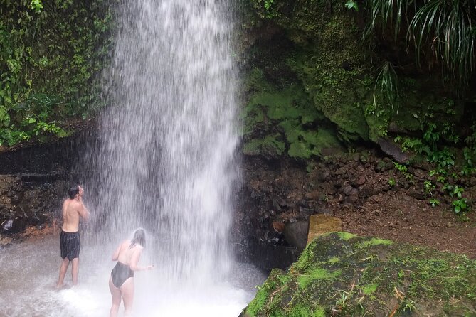 Sulphur Springs Mud Bath and Toraille Waterfall Tour with Creole Lunch - Key Highlights You’ll Want to Know Up Front