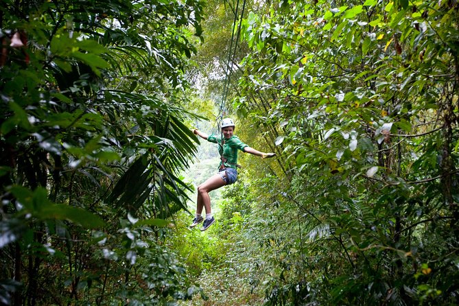 Treetop Zipline Experience From Castries - Rodney Bay to Castries area: why this start works