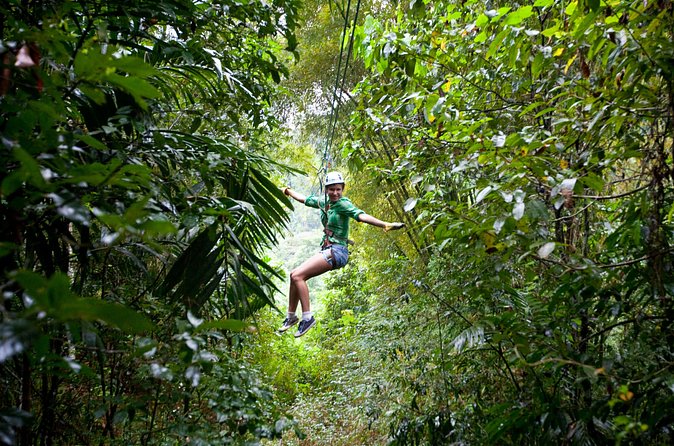 Treetop Zipline Experience From Castries - The zipline circuit: 12 lines, big spans, and a net bridge