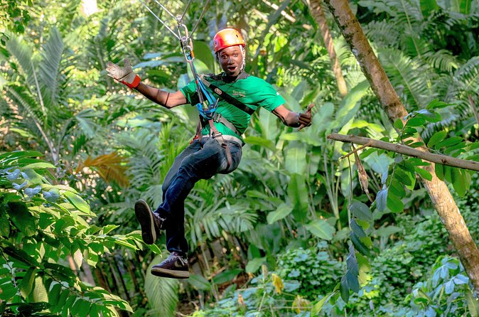 Treetop Zipline Experience From Castries - Price and value: is $121.60 a fair deal?