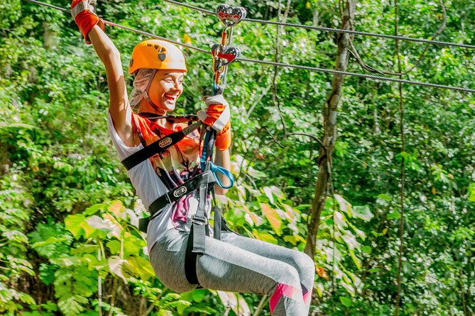 Treetop Zipline Experience From Castries - Who this zipline suits best, and who should skip it