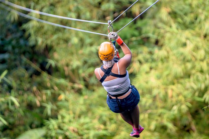 Treetop Zipline Experience From Castries - How the safety briefing and setup prepare you