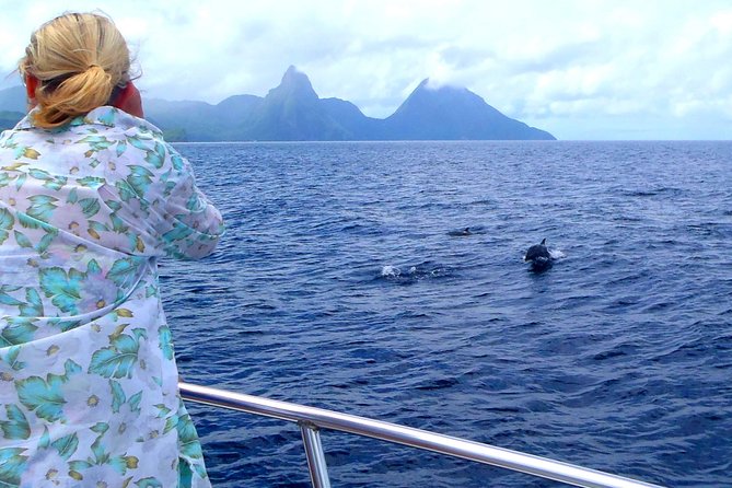 Whale Watching and Dolphin Spotting Cruise - Key things I’d mark on your map before you go