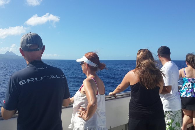 Whale Watching and Dolphin Spotting Cruise - Whale Watching and Dolphin Spotting Cruise in Choc, St Lucia: What this morning boat trip is really like