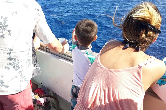 Whale Watching and Dolphin Spotting Cruise - Photo opportunities: north-coast coastline views that work even on a slow animal day